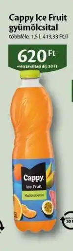 EcoFamily Cappy Ice Fruit gyümölcsital ajánlat