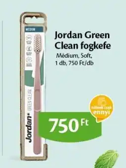 EcoFamily Jordan Green Clean fogkefe ajánlat