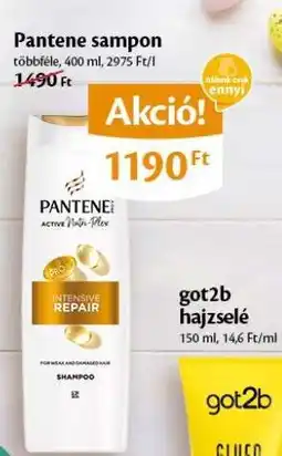 EcoFamily Pantene Sampon ajánlat