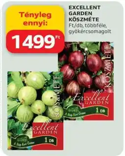 Auchan EXCELLENT GARDEN KÖSZMÉTE ajánlat