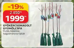 Auchan Gyökércsomagolt gyümölcsfa ajánlat