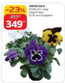 Auchan Árvácska ajánlat
