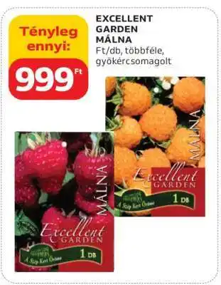 Auchan EXCELLENT GARDEN MÁLNA ajánlat