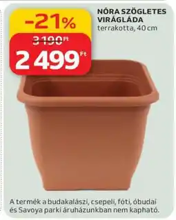 Auchan NÓRA SZÖGLETES VIRÁGLÁDA ajánlat