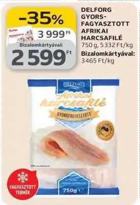 DELFORG GYORS-FAGYASZTOTT AFRIKAI HARCSAFILÉ