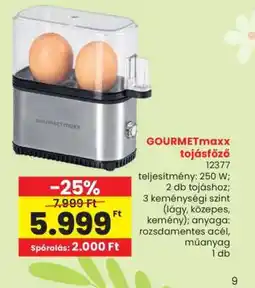 Interspar GOURMETmaxx tojásfőző ajánlat