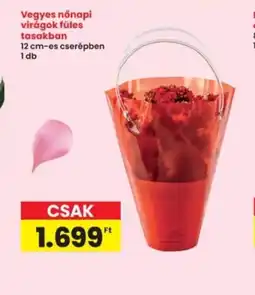 Interspar Vegyes nőnapi virágok ajánlat
