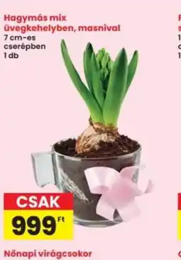 Interspar Hagymás mix ajánlat