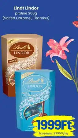 Magnetic Lindt Lindor praliné ajánlat