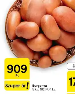 Tesco Burgonya ajánlat