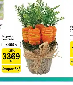 Tesco Sárgarépa dekoráci ajánlat