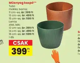Spar Műanyag kasp ajánlat