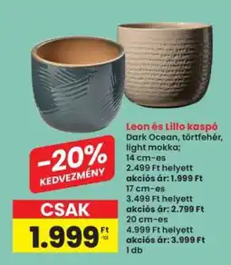 Interspar Leon és Lillo kaspó ajánlat