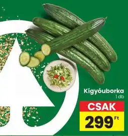 Spar Kígyóuborka ajánlat