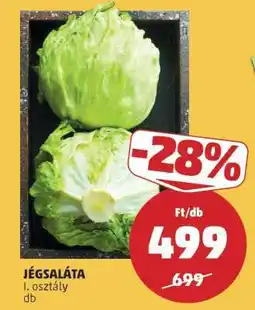 PENNY Jégsaláta ajánlat