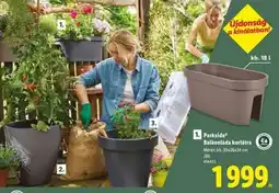 Lidl Parkside Balkonláda korlátra ajánlat