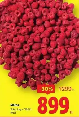 Lidl Málna ajánlat