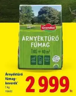 Lidl Árnyéktűrő fűmagkeverék ajánlat