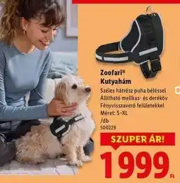 Lidl ZOOFARI Kutyahám ajánlat