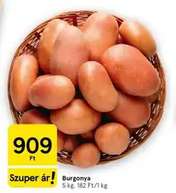 Tesco Burgonya ajánlat