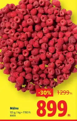 Lidl Málna ajánlat