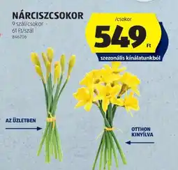 ALDI Nárciszcsokor ajánlat