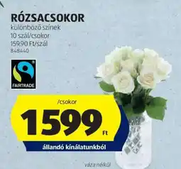 ALDI RÓZSACSOKOR ajánlat