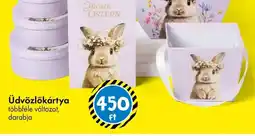 Tedi Üdvözlőkártya ajánlat