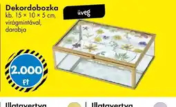 Tedi Dekordobozka ajánlat