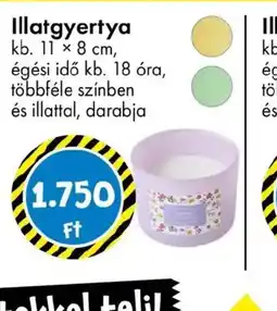 Tedi Illatgyertya ajánlat