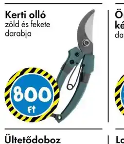 Tedi Kerti oll ajánlat