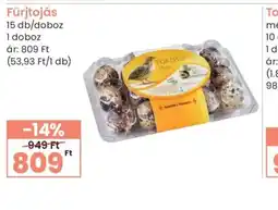 Spar Fürjtojás ajánlat
