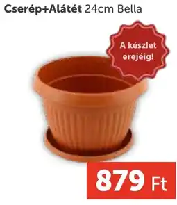 PRIVÁT Cserép+Alátét Bella ajánlat
