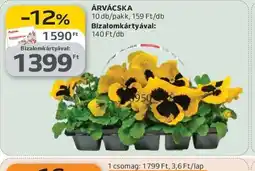 Auchan ÁRVÁCSKA ajánlat
