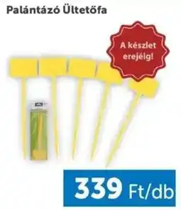 PRIVÁT Palántázó Ültetőfa ajánlat