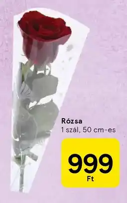 Tesco Rózsa ajánlat