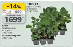 Auchan EPER folytontermő ajánlat