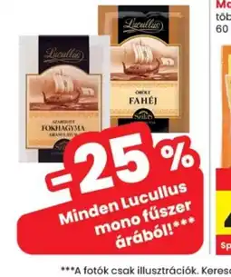 Spar Lucullus mono fűszer ajánlat
