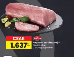 Spar Regnum sertéskaraj ajánlat