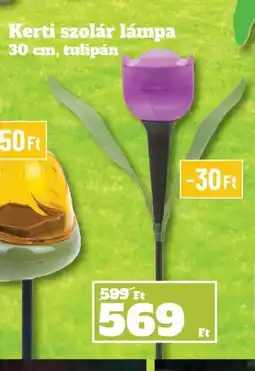 Family Diszkont Kerti szolár lámpa tulipán ajánlat