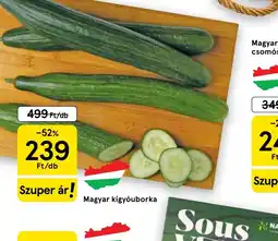 Tesco Kígyuborka ajánlat