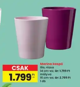 Interspar Merina kaspó ajánlat