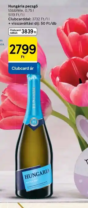 Tesco Hungária pezsgő ajánlat