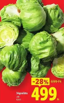 Lidl Jégsaláta ajánlat