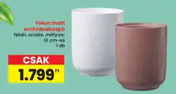 Interspar Falun matt orchideakaspó ajánlat