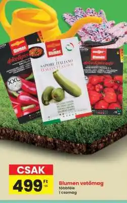 Interspar Blumen vetőmag ajánlat