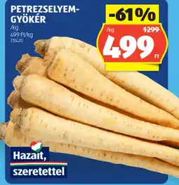 ALDI PETREZSELYEM-GYÖKÉR ajánlat