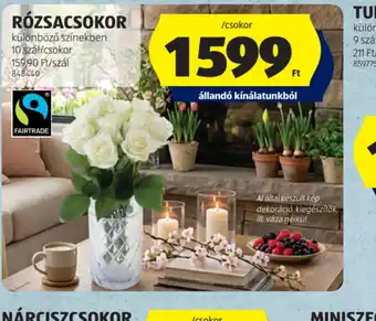 ALDI RZSACSOKOR ajánlat