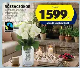 ALDI RÓZSACSOKOR ajánlat