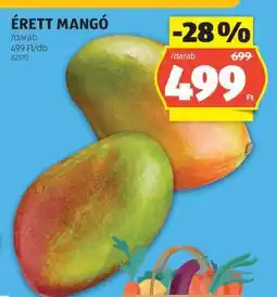 ALDI Érett Mangó ajánlat